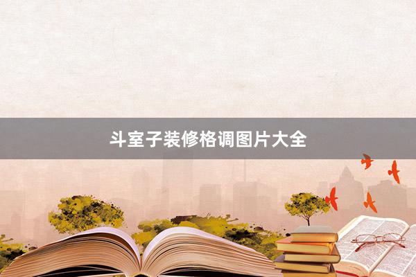 斗室子装修格调图片大全