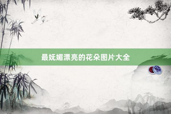 最妩媚漂亮的花朵图片大全