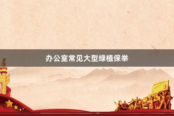 办公室常见大型绿植保举