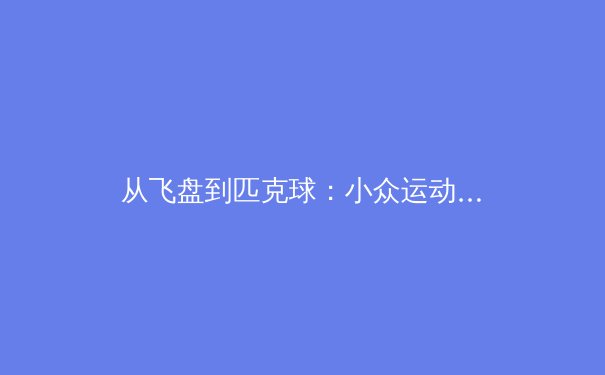 从飞盘到匹克球：小众运动爆红背后的社会心理与商业逻辑深度解析 - 4
